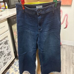 OAT Denim Jeans High Rise Wide Crop Leg Size 32